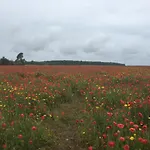 مكان تخييم Clara ,clhoe مير-لي-بان