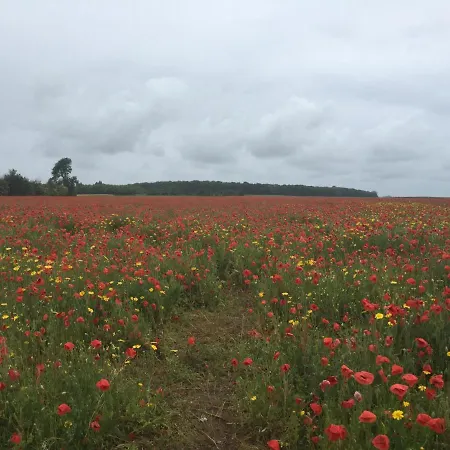 Campeggio Clara ,clhoé Mers-les-Bains