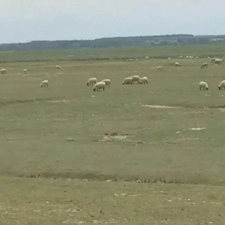 Campeggio Clara ,clhoé