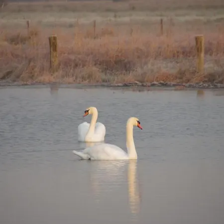 Campeggio Clara ,clhoé *